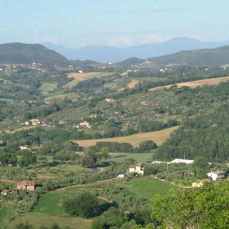 Agriturismo Poggio Della Rosa Amelia Exterior foto